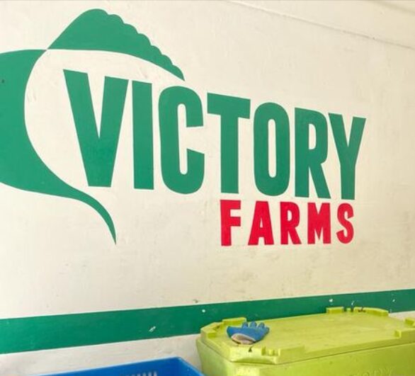 Victory Farms,